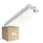 Multipack 4x Bright Choice Bulkhead LED Bianca 3W 280lm - 830 Luce Calda -  | IP66